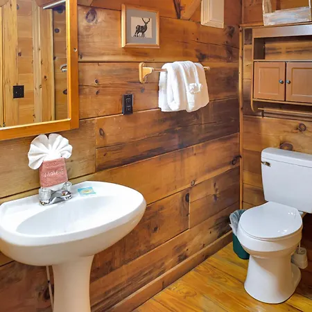 Cozy Cabin! Hot Tub, King Bed, Fireplace, & Pool Gatlinburg Exterior photo