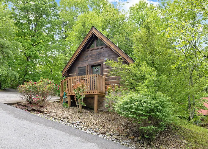 Cozy Cabin! Hot Tub, King Bed, Fireplace, & Pool